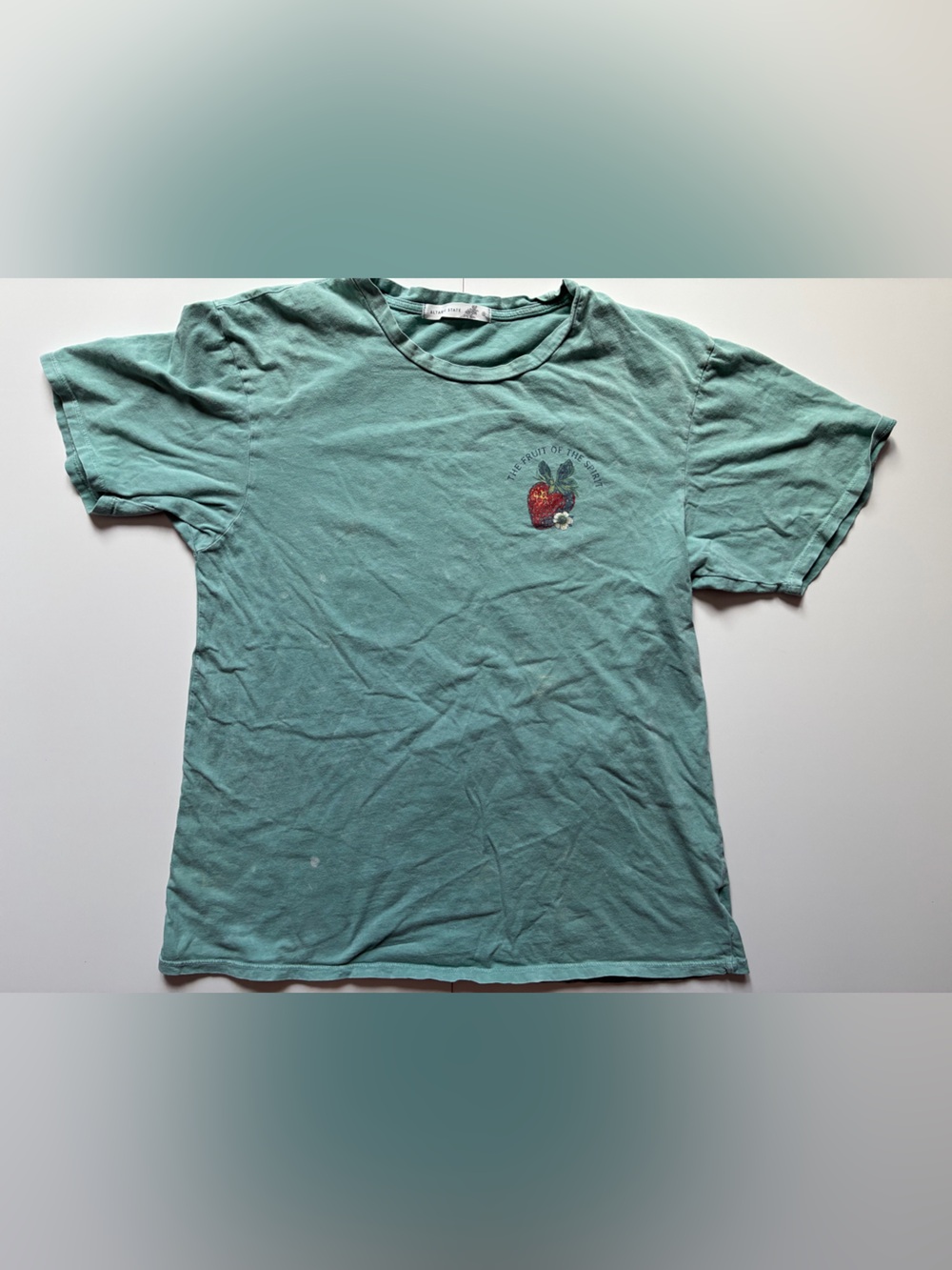 Altar'd State Seafoam Green "The fruit of the Spirit" T-Shirt Graphic - Size Sm